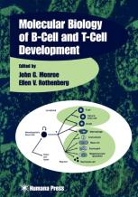Molecular Biology Of B-Cell And T-Cell Development