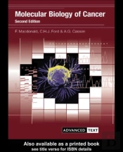 Molecular Biology Of Cancer