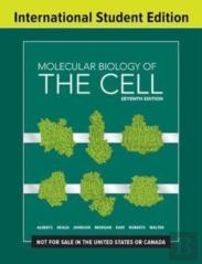 Molecular Biology Of The Cell
