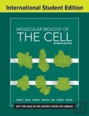 Molecular Biology Of The Cell