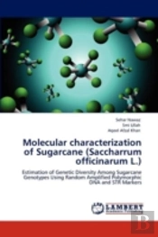 Molecular Characterization Of Sugarcane (Saccharrum Officinarum L.)
