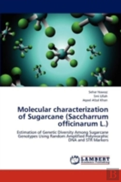 Bertrand.pt - Molecular Characterization Of Sugarcane (Saccharrum Officinarum L.)
