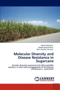 Bertrand.pt - Molecular Diversity And Disease Resistance In Sugarcane