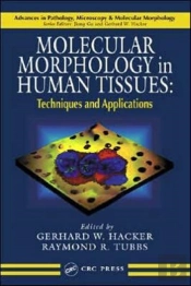 Molecular Morphology In Human Tissues