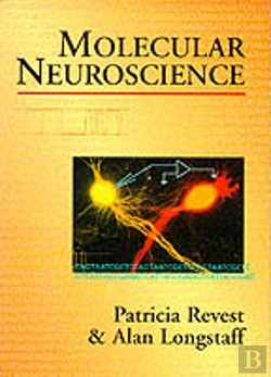 Bertrand.pt - Molecular Neuroscience