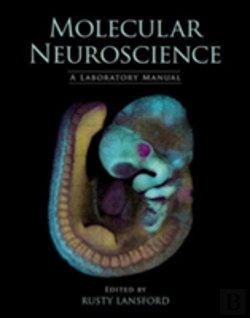 Bertrand.pt - Molecular Neuroscience