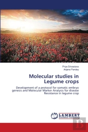 Molecular Studies In Legume Crops