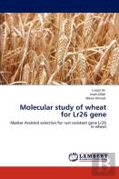 Molecular Study Of Wheat For Lr26 Gene