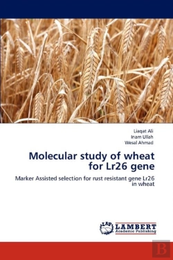 Bertrand.pt - Molecular Study Of Wheat For Lr26 Gene