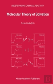 Molecular Theory Of Solvation