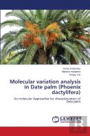 Molecular Variation Analysis In Date Palm (Phoenix Dactylifera)