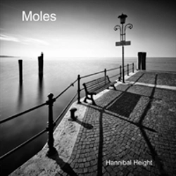 Bertrand.pt - Moles
