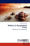 Mollusc In Bangladesh Coast