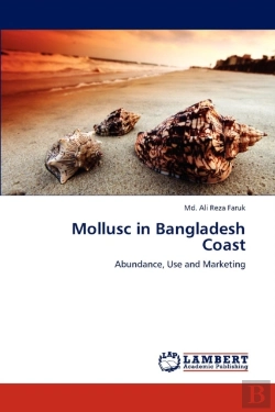 Bertrand.pt - Mollusc In Bangladesh Coast