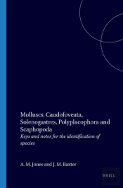 Molluscs: Caudofoveata, Solenogastres, Polyplacophora And Scaphopoda