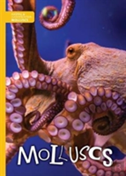 Bertrand.pt - Molluscs