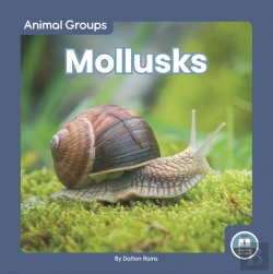 Bertrand.pt - Mollusks