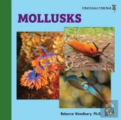 Mollusks