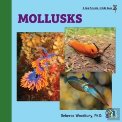 Bertrand.pt - Mollusks