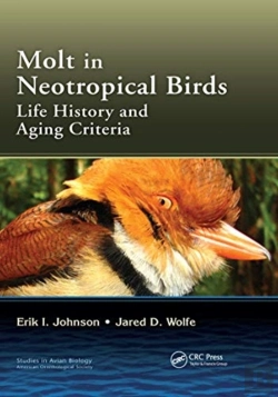 Bertrand.pt - Molt In Neotropical Birds