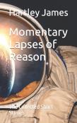 Momentary Lapses Of Reason