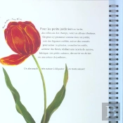 Mon Almanach ; 4 Saisons Au Jardin