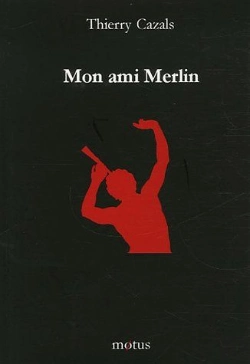 Bertrand.pt - Mon Ami Merlin