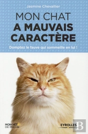 Mon Chat A Mauvais Caractère ; Domptez Le Fauve Qui Sommeille En Lui