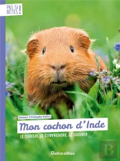 Mon Cochon D'Inde
