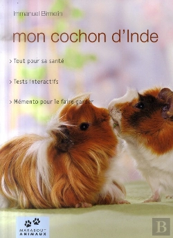 Bertrand.pt - Mon Cochon D'Inde