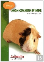 Mon Cochon D'Inde
