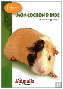 Bertrand.pt - Mon Cochon D'Inde