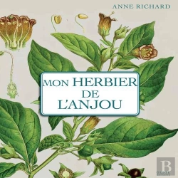 Bertrand.pt - Mon Herbier D'Anjou