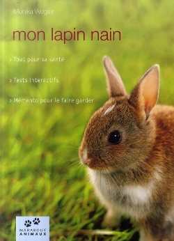 Bertrand.pt - Mon Lapin Nain