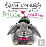 Mon Lapin Nain, Peluche Ou Canaille ?