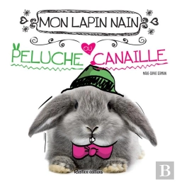 Bertrand.pt - Mon Lapin Nain, Peluche Ou Canaille ?