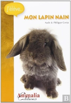 Bertrand.pt - Mon Lapin Nain