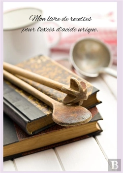 Bertrand.pt - Mon Livre De Recettes Pour L Exces D Acide Urique
