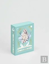 Mon Oracle Magique ; Esprits De La Nature
