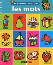 Mon Premier Grand Livre ; Les Mots