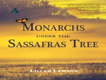 Monarchs Under The Sassafras Tree