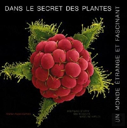 Bertrand.pt - Monde Etrange Incroyable Plant