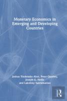 Monetary Economics In Emerging And Developing Countries