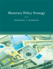 Monetary Policy Strategy