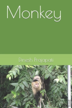Bertrand.pt - Monkey