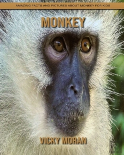 Bertrand.pt - Monkey