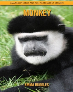 Bertrand.pt - Monkey