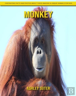 Bertrand.pt - Monkey