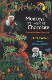 Monkeys Are Made Of Chocolate