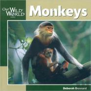 Monkeys